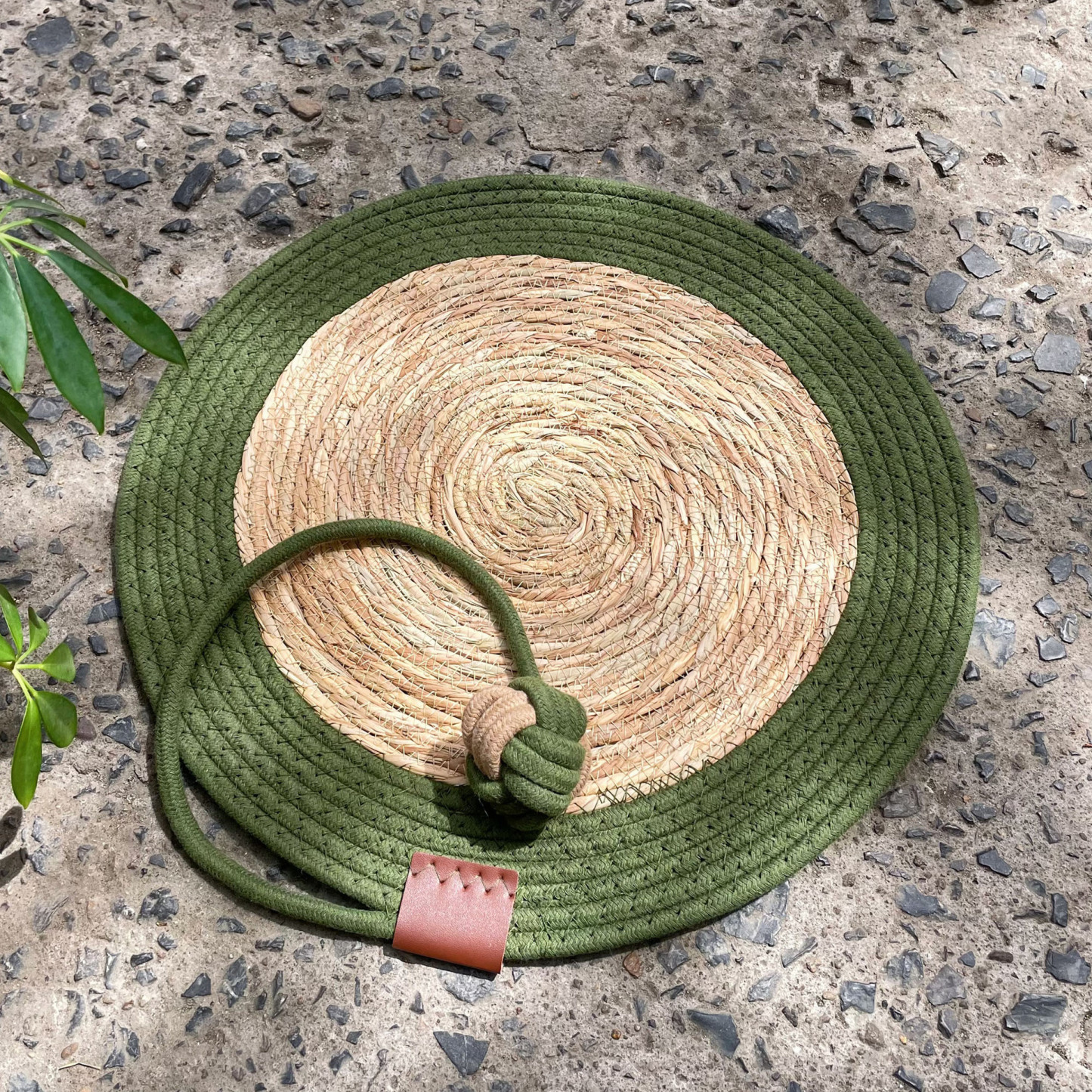 Cattail Grass + Olive Green Cat Scratch Pad · Diameter 80cm (Available for Multiple Pets)