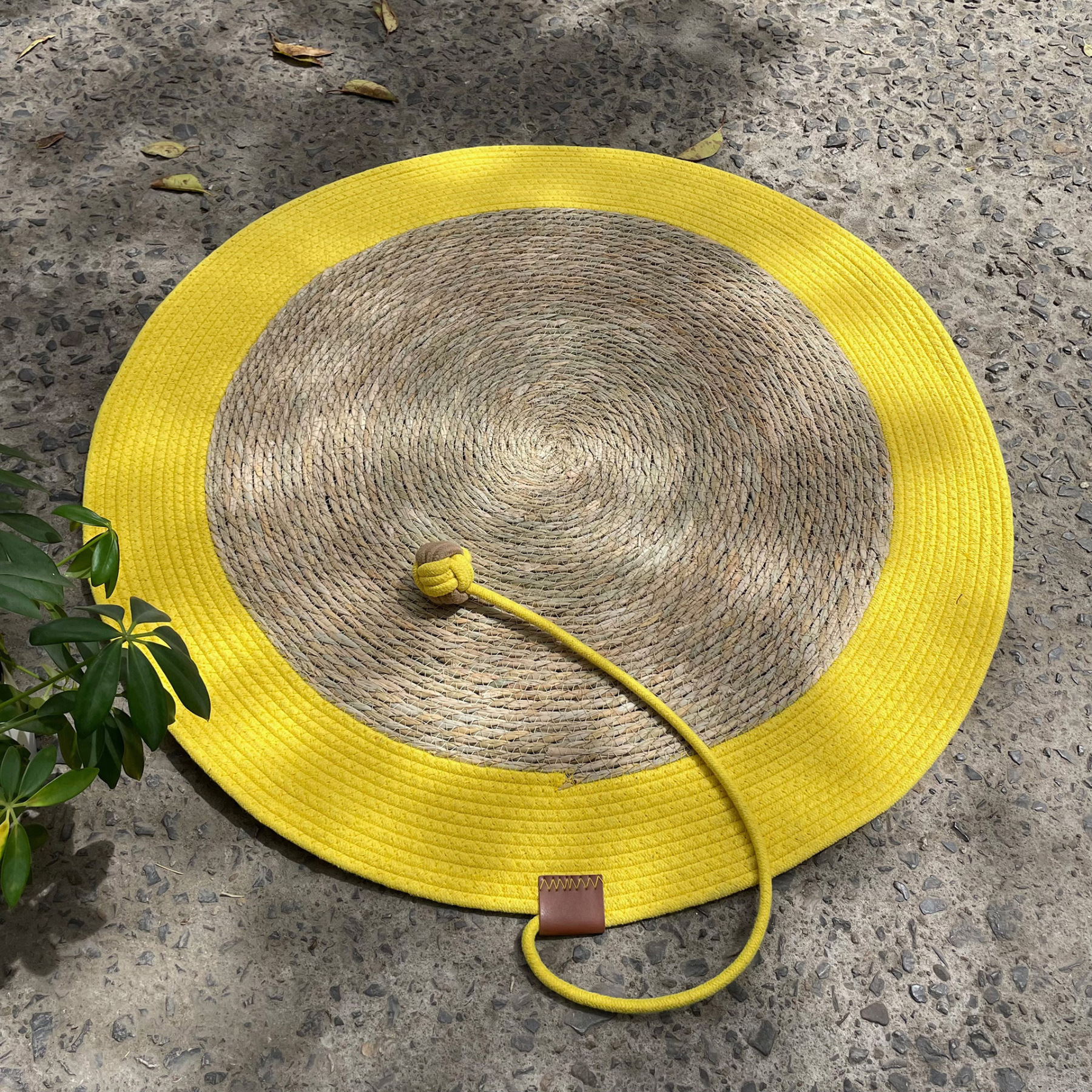 Cattail Grass + Lemon Yellow Cat Scratch Pad · Diameter 80cm (Available for Multiple Pets)