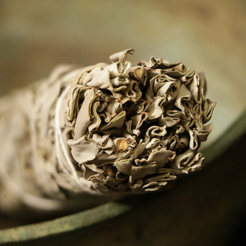 White Sage Smudge Sticks - For Cleansing Negativity