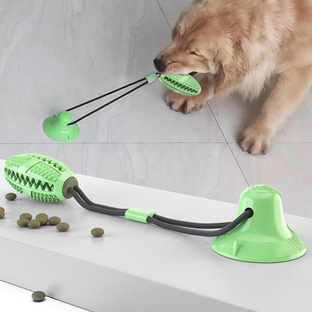 Dog suction cup toy