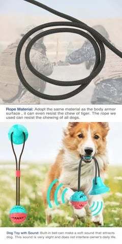 Dog suction cup toy