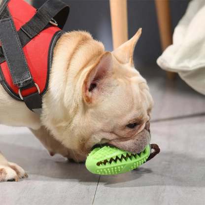 Dog suction cup toy