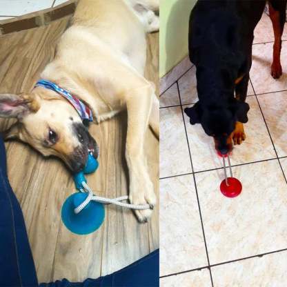 Pet teething toys