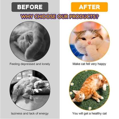Hot Sale🐈Folded cat tunnel🔥Buy 2 Get 1 Free🔥