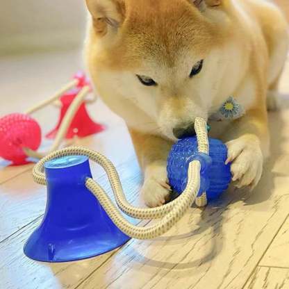 Pet teething toys