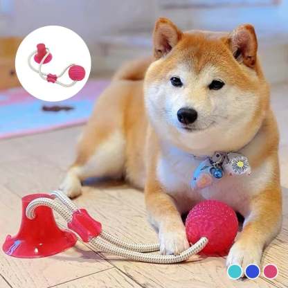 Pet teething toys