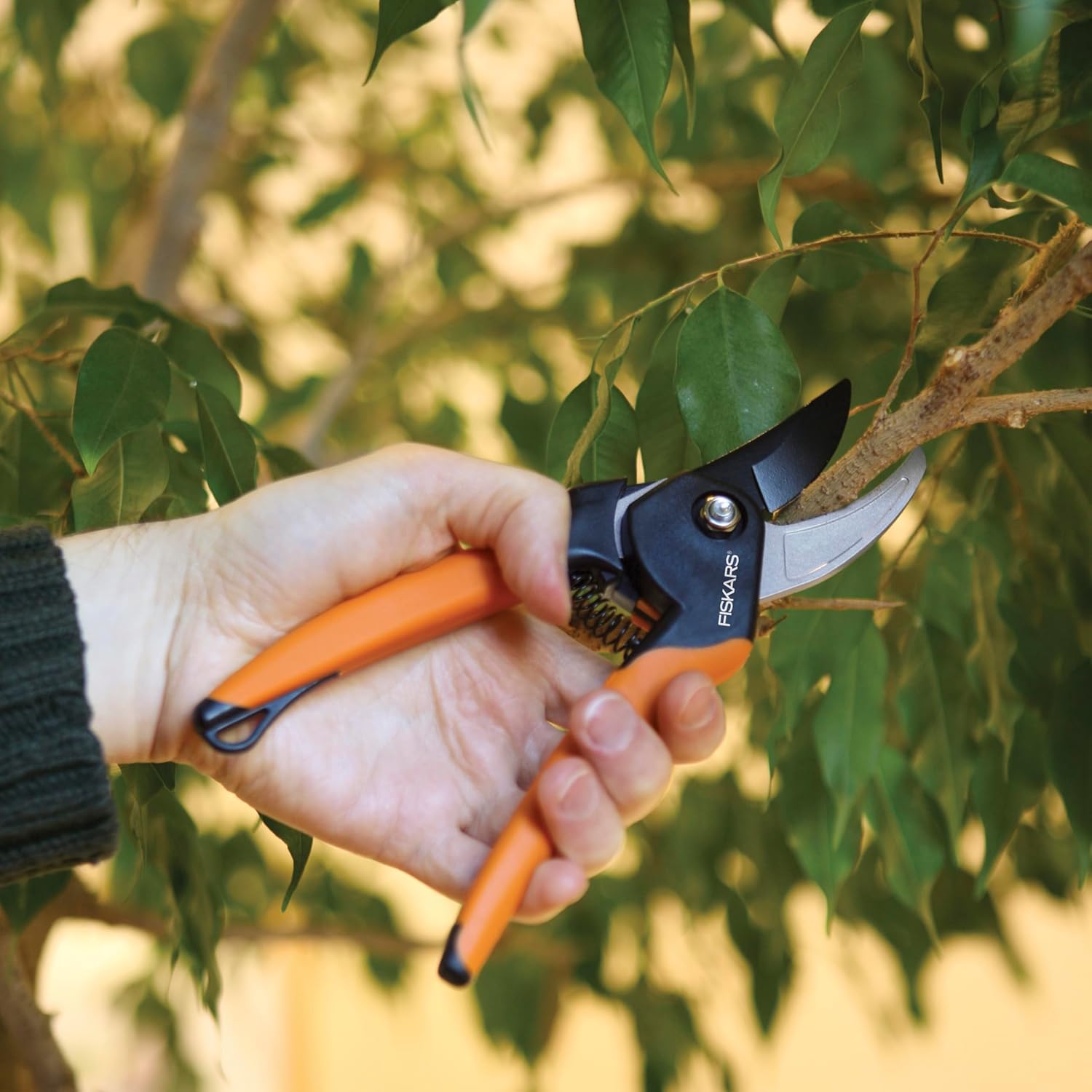 Fiskars Bypass Pruning Shears, 5/8-Inch Cut Capacity Garden Clippers, Gardening Scissors with Sharp, Rust Resistant Steel Blade