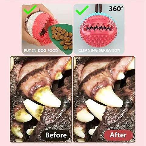 Dog suction cup toy
