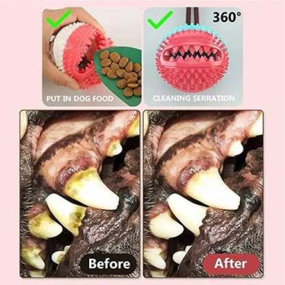 Dog suction cup toy