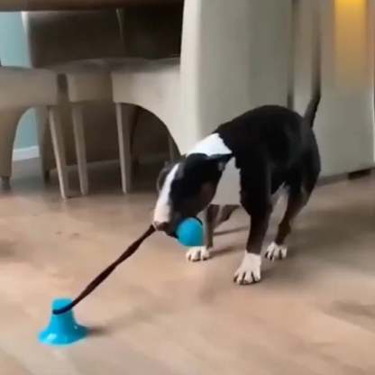 Pet teething toys