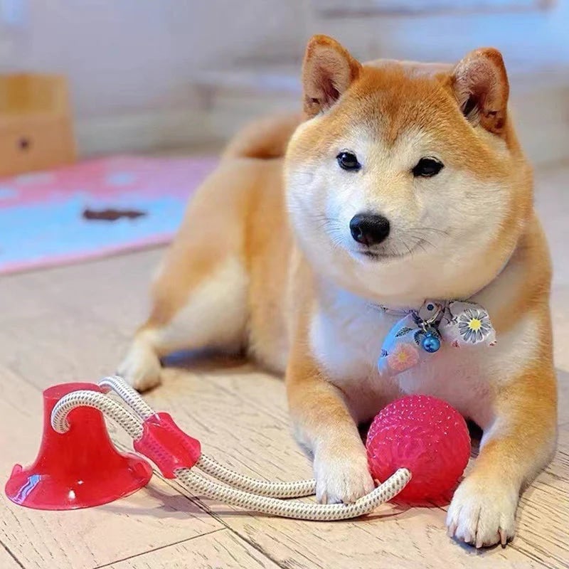 Pet teething toys