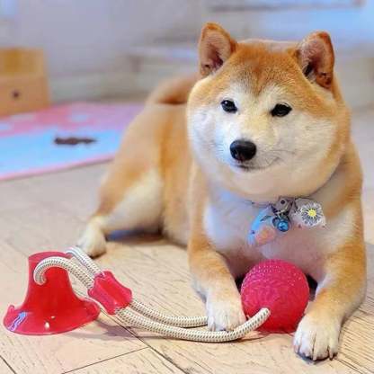 Pet teething toys