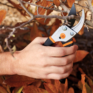 Person using pruner