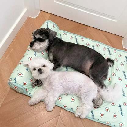 🔥HOT SALE🔥Cats/Dogs Cooling  Bed