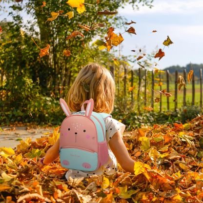 SUN EIGHT Healthy Toddler Backpack for Aged 2-6 SE-2850-WR