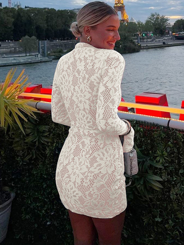 Mini Lace Dress With Cutout Long Sleeve High Neck Sexy Bodycon Club Dress For Women 2026