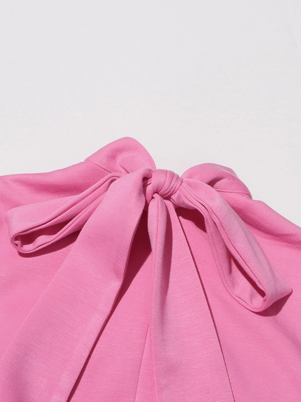 Party Dress Dresses Mini Pink Stand Collar Flowers Sleeveless Casual Semi Formal Dress