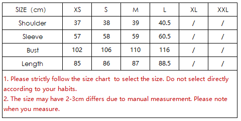 Winter Women Casual Polo Collar Long Sleeve Single Breasted Embroidered Shirt Dress