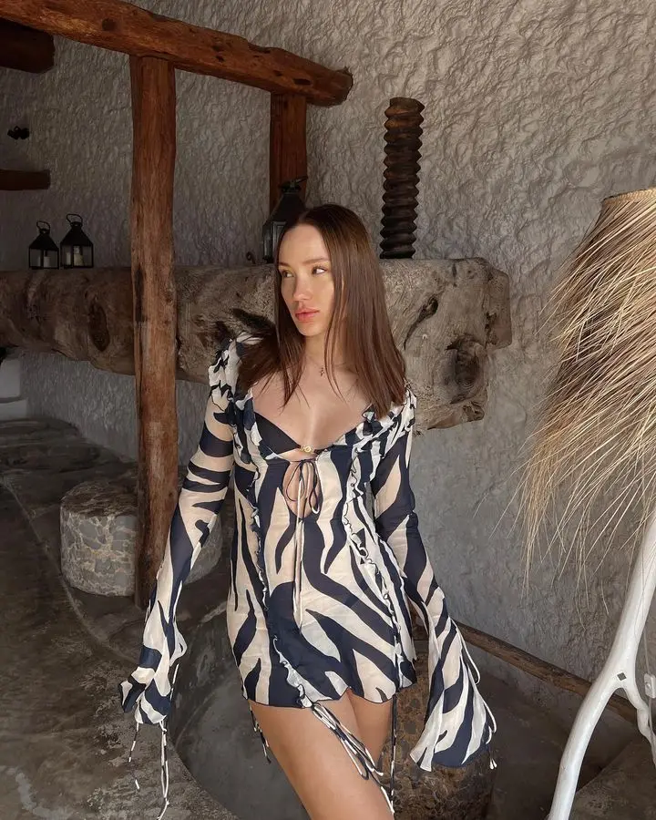 JULISSA MO Chiffon Sheer Bandage V-Neck Longsleeve Mini Dress For Women Sexy Zebra Print Slim See Through Beach Holiday Dresses