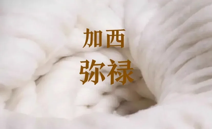 Women V-neck Sweater Vest Solid Sleeveless Preppy Style Sweet Knitted Vest Female Casual Pullover Waistcoat Fall Winter