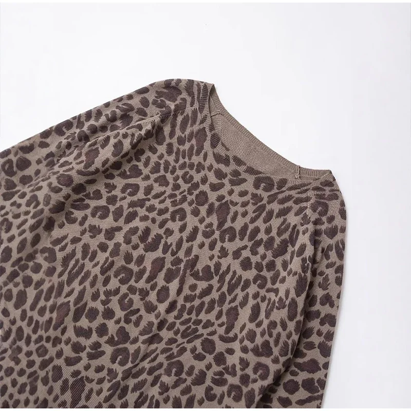 Leopard Knit Pullover Women Casual Loose Round Neck Long Sleeves Sweater Tops 2025 Spring Summer Fashion Lady Y2K Streetwear