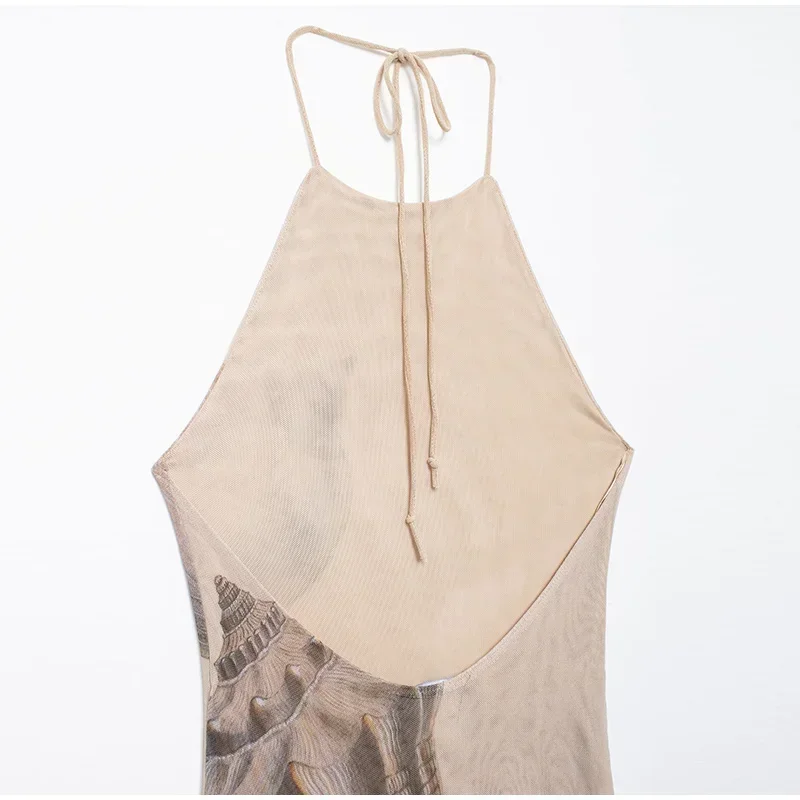 Print Backless Tulle Long Dresses For Women Halter Lace Up Sleeveless Holiday Dresses 2025 Fashion Slim Beach Vacation Robes