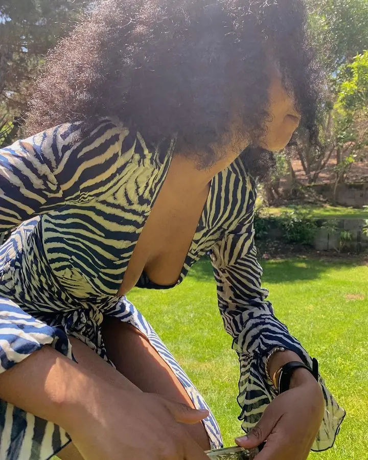 JULISSA MO Chiffon Sheer Bandage V-Neck Longsleeve Mini Dress For Women Sexy Zebra Print Slim See Through Beach Holiday Dresses