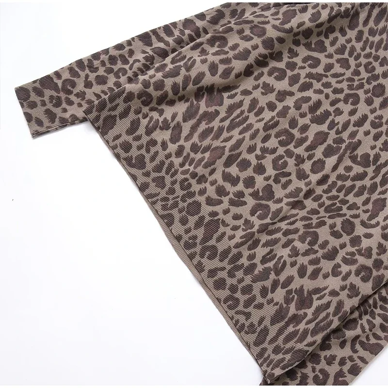 Leopard Knit Pullover Women Casual Loose Round Neck Long Sleeves Sweater Tops 2025 Spring Summer Fashion Lady Y2K Streetwear