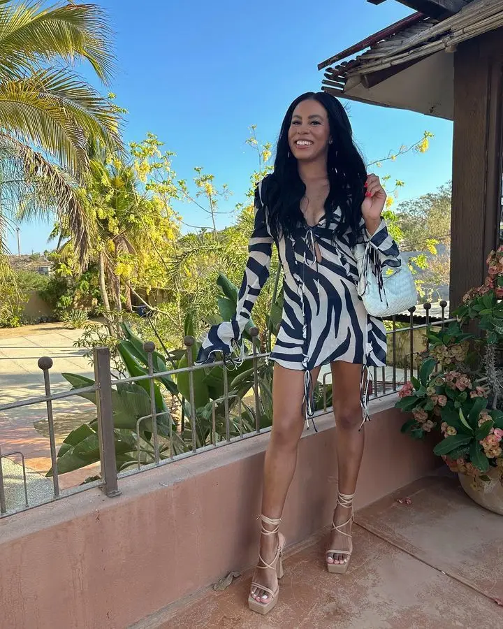 JULISSA MO Chiffon Sheer Bandage V-Neck Longsleeve Mini Dress For Women Sexy Zebra Print Slim See Through Beach Holiday Dresses