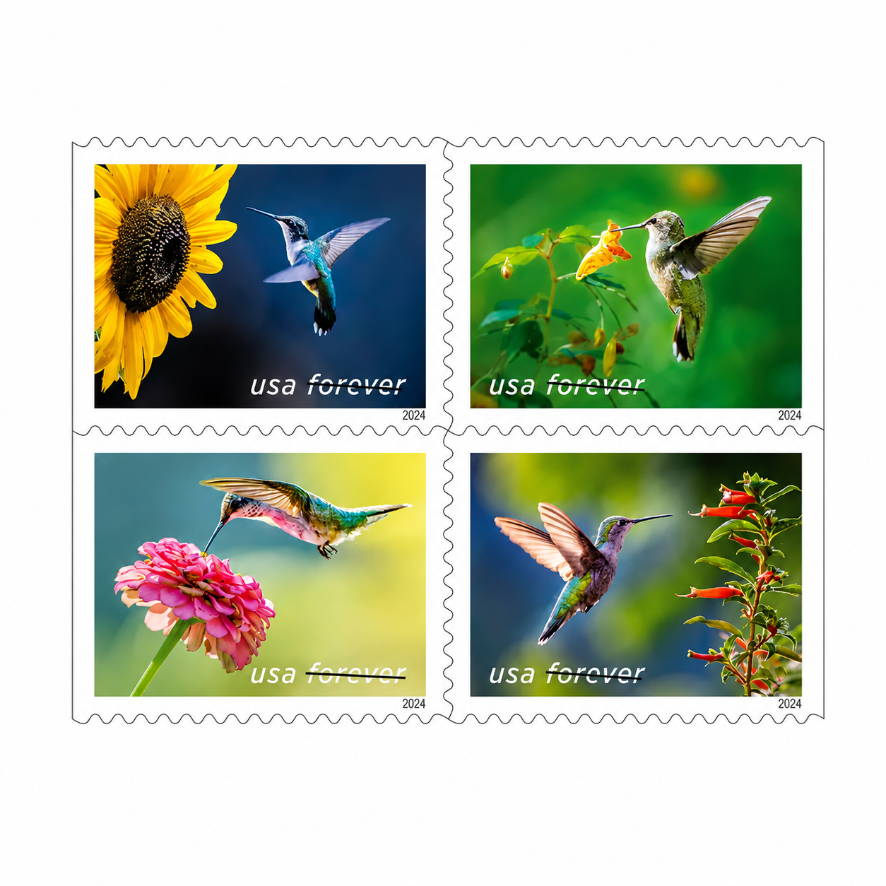 2024 Garden Delights Forever Stamps