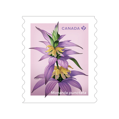 Wildflowers coil of 50 Permanent™ stamps - 100Pcs