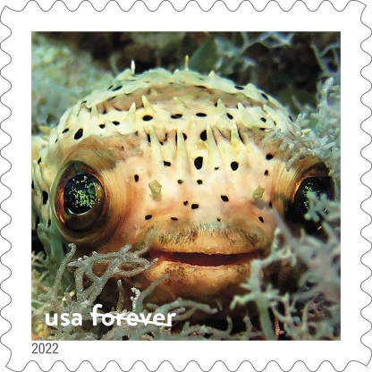2022 National Marine Sanctuaries Stamps