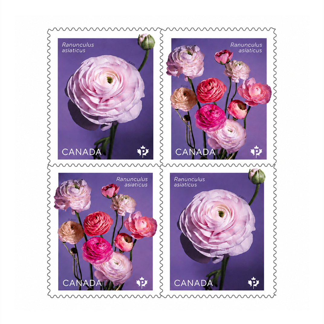 Ranunculus: 100Pcs - Permanent™ domestic rate stamps - coil of 50