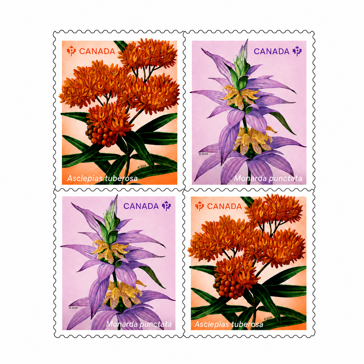 Wildflowers coil of 50 Permanent™ stamps - 100Pcs