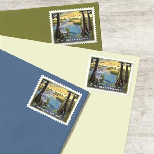 US 2023 Florida Everglades "Priority Mail"