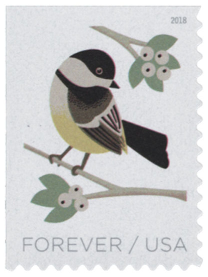 2018 Birds in Winter