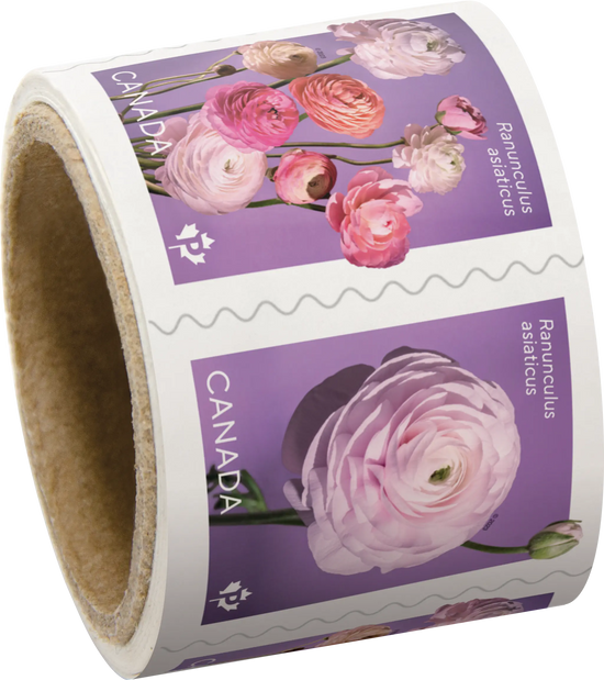 Ranunculus: 100Pcs - Permanent™ domestic rate stamps - coil of 50