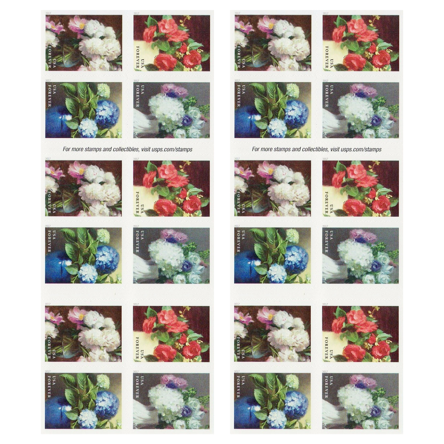 Garden Flowers. 2017