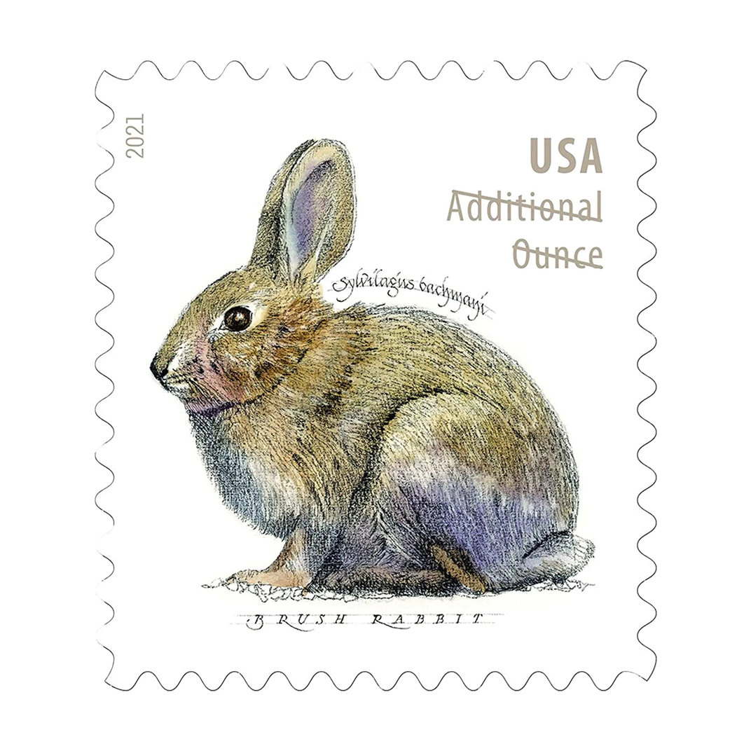2021 Brush Rabbit Stamps
