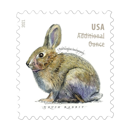 2021 Brush Rabbit Stamps