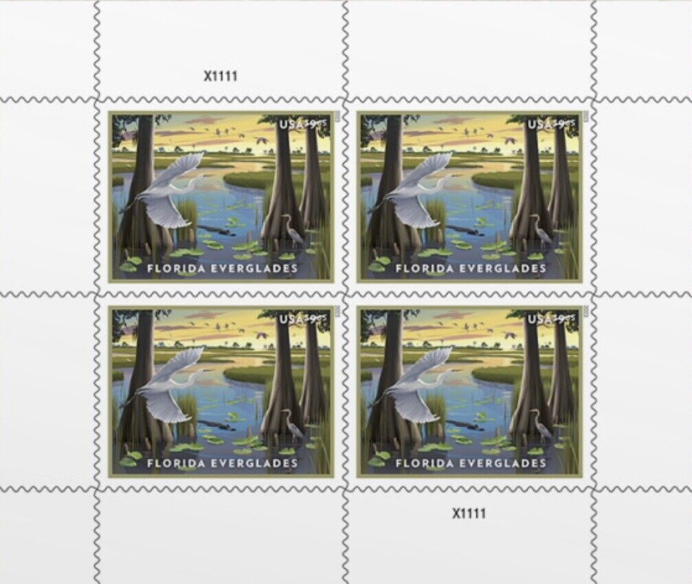 US 2023 Florida Everglades "Priority Mail"