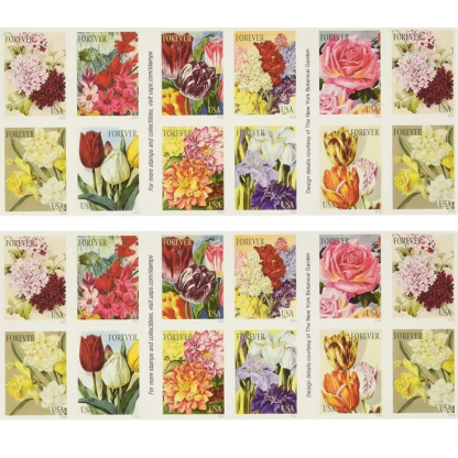 Botanical Art 2016