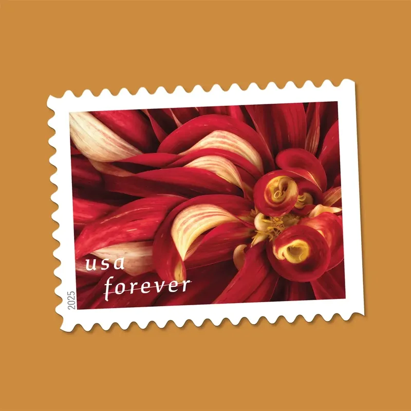 2025 First-Class Dahlias Forever Stamps 