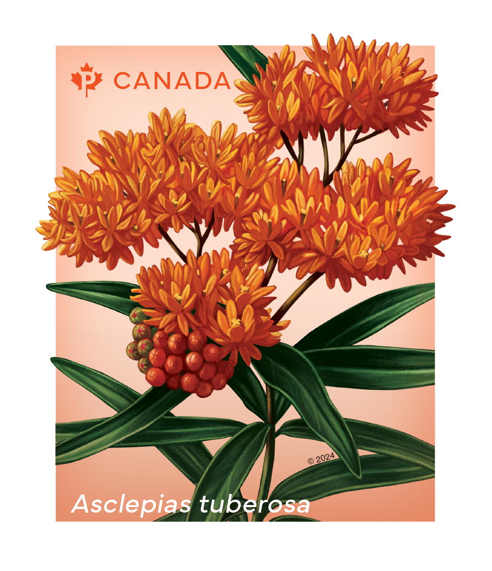 Wildflowers coil of 50 Permanent™ stamps - 100Pcs