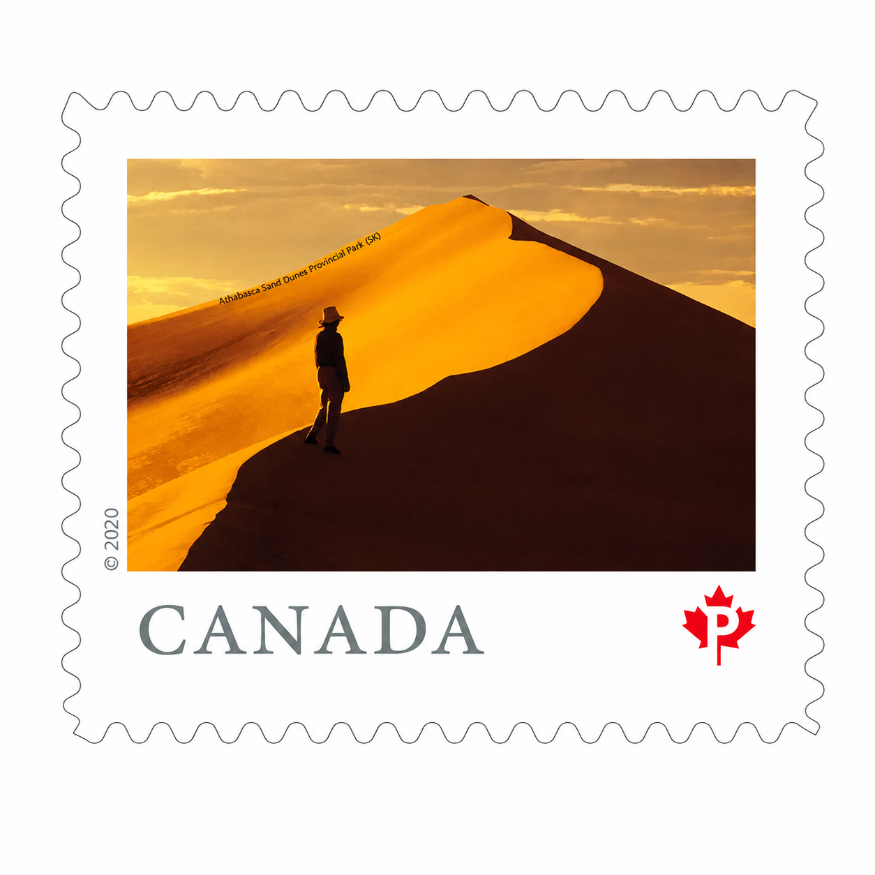 From Far and Wide (2020) : Permanent™ domestic rate stamps - coil of 100