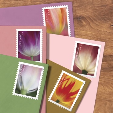 Tulip Blossoms Forever Stamp