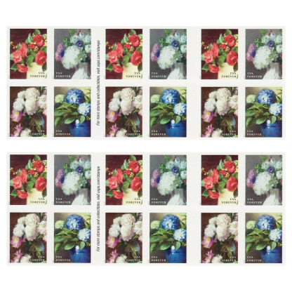 Garden Flowers. 2017