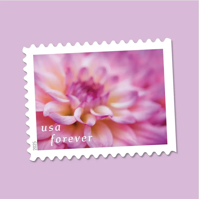 2025 First-Class Dahlias Forever Stamps 
