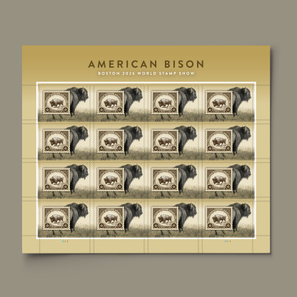 2026 American Bison First-Class Forever Stamp