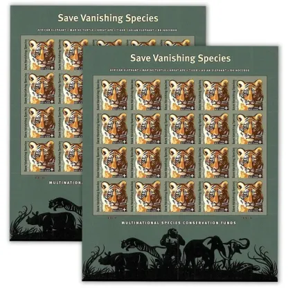 Save Vanishing Species Amur Tiger 2011
